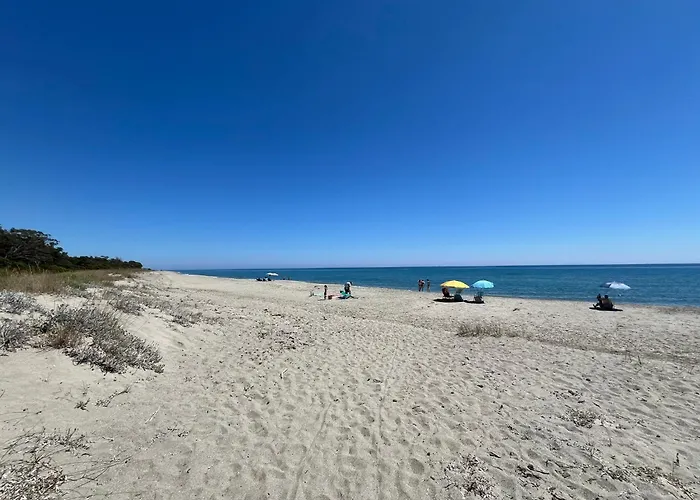 Duplex Vue A Piana