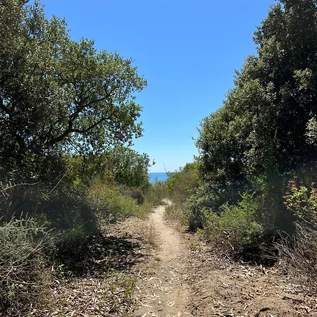 Duplex Vue A Piana Apartament