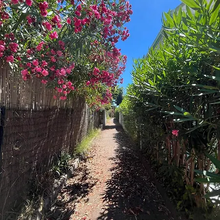 Apartment Duplex Vue A Piana