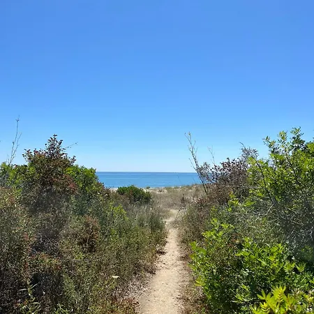 Apartment Duplex Vue A Piana *