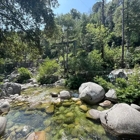 Duplex Vue A Piana *