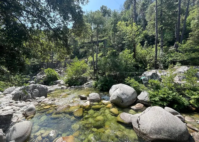 Duplex Vue A Piana *